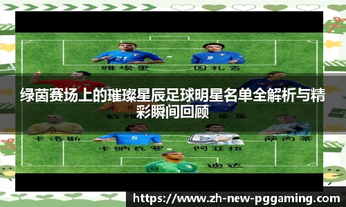 绿茵赛场上的璀璨星辰足球明星名单全解析与精彩瞬间回顾